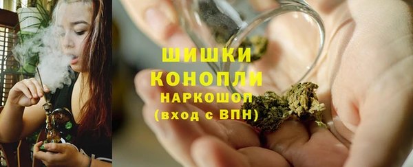 PSILOCYBIN Богородицк