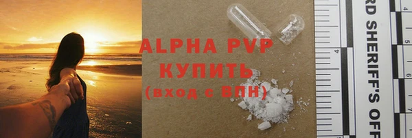 PSILOCYBIN Богородицк