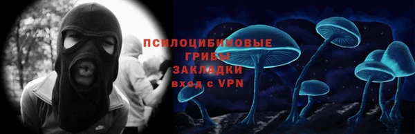PSILOCYBIN Богородицк