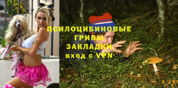 PSILOCYBIN Богородицк