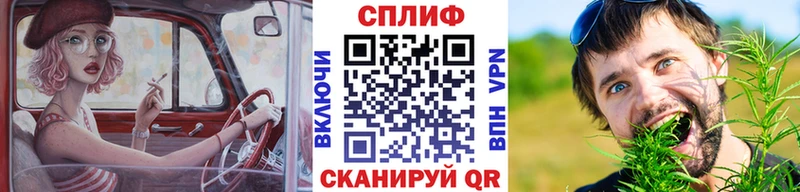 как найти закладки  Гусь-Хрустальный  Конопля сатива 